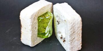 Coffee and mushroom spores make a green plastic alternative