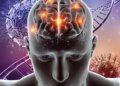 NIH Study Exposes the Inner Workings of Neurological Symptoms