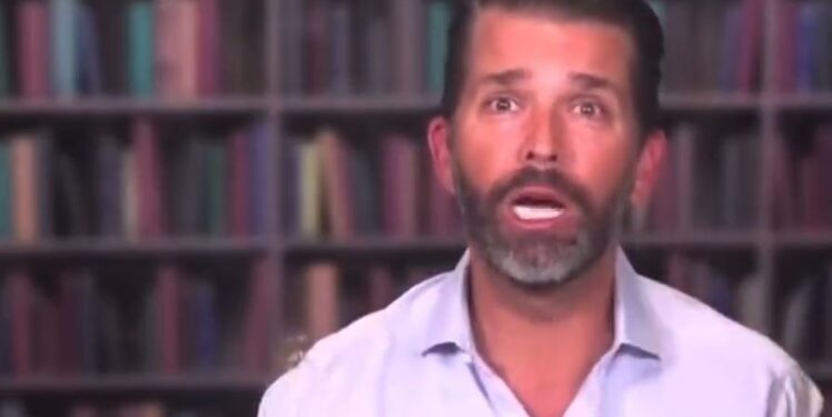 An Out Of It Donald Trump Jr. Trashes His Dad During Podcast