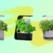 Best AeroGarden deals: Get an AeroGarden up to 51% off at Amazon