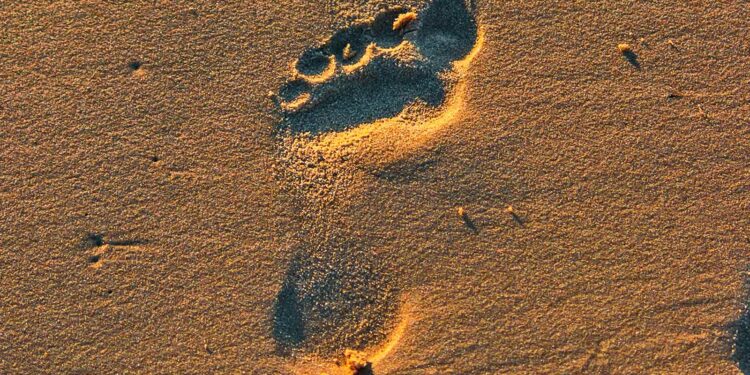 Algorithm leads to new theory of human origins in Africa