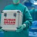An Orthodox Rabbi Makes the Case for Legalizing Organ Markets