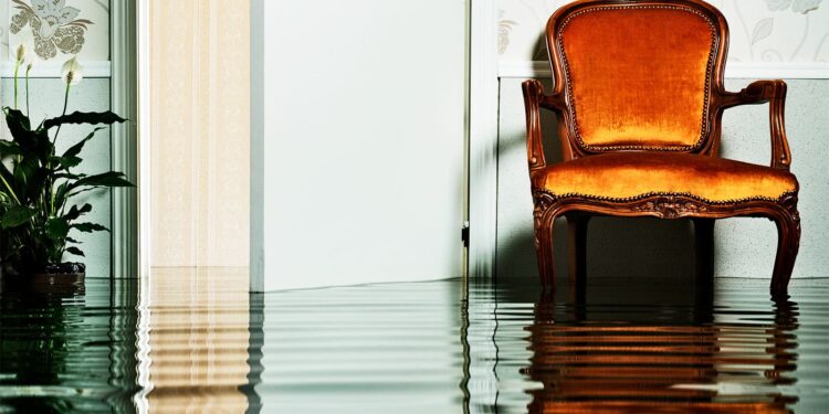 Some homeowners pick higher flood risk over diverse neighborhood