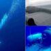 Titanic sub search – live: Oxygen forecast to have run out – but US Coast Guard ‘remains hopeful’ | World News