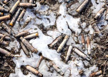 What should we make of Russia’s brief mutiny?