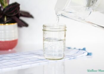 The Best Water Filter For Your Home