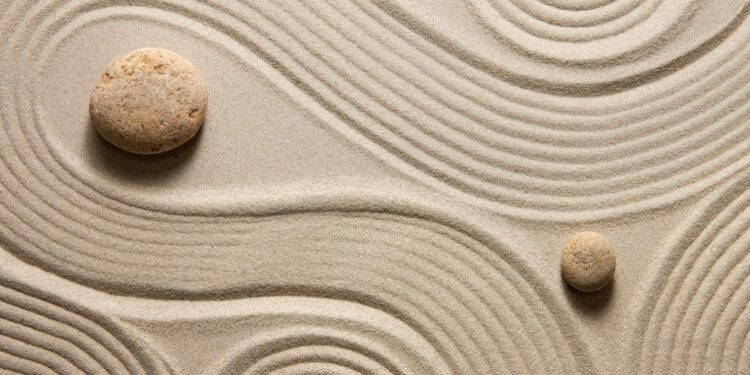 Harnessing light field technology for enhanced navigation and imaging