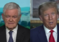 Newt Gingrich Perfectly Explains the ‘Absurdity’ of Trump Charges, Says It Will Get Him Nominated ‘By a Landslide’