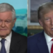 Newt Gingrich Perfectly Explains the ‘Absurdity’ of Trump Charges, Says It Will Get Him Nominated ‘By a Landslide’