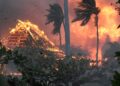 Maui wildfires kill six as ‘apocalypse’ strikes Hawaiian paradise | World News