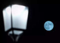 Super Blue Moon 2023 Live News Updates: Super Blue Moon lights up sky; next one won’t happen again until January 2037