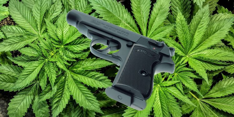 The Arbitrary Ban on Gun Possession by Drug Users Invites Haphazard Enforcement