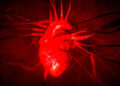 Scientists Puzzled to Find Plastic Fragments Inside Human Hearts