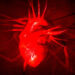 Scientists Puzzled to Find Plastic Fragments Inside Human Hearts