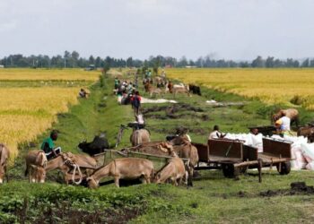 Factbox-What to Watch at Africa’s First Climate Summit