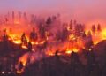 Wildfire exposure after lung cancer surgery lowers survival