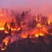 Wildfire exposure after lung cancer surgery lowers survival