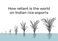 How reliant is the world on Indian rice exports? | Infographic News