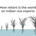 How reliant is the world on Indian rice exports? | Infographic News