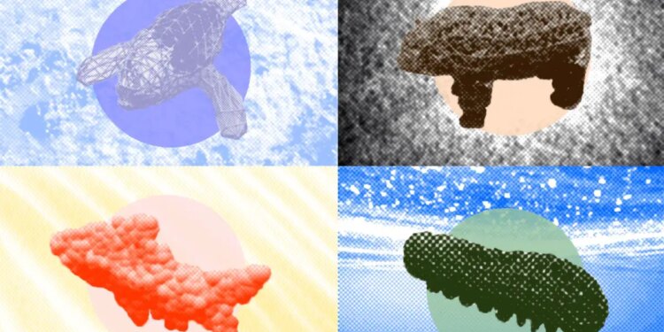 Open-Source Platform Simulates Wildlife for Soft Robotics Designers