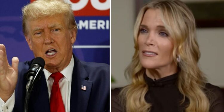 Donald Trump blasts ‘nasty’ Megyn Kelly after interview about classified docs | World News