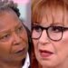 Chaos Erupts As Whoopi Goldberg And Joy Behar Get Into Heated Exchange Over Men And Abortion On ‘The View’