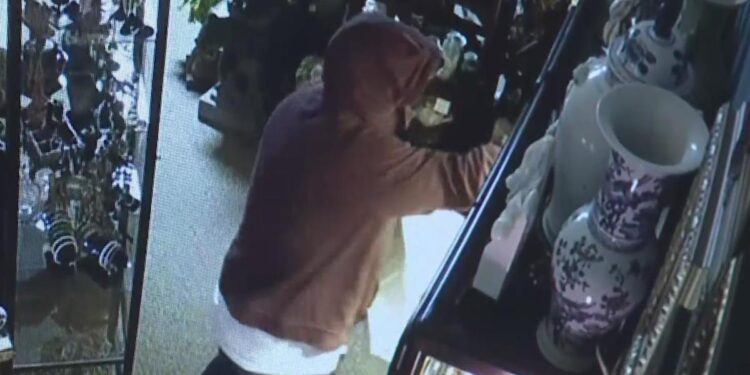 “Crushing” break-in leaves Sacramento import business on brink of closing