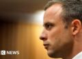 Oscar Pistorius makes new parole bid 10 years after killing girlfriend Reeva Steenkamp