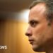 Oscar Pistorius makes new parole bid 10 years after killing girlfriend Reeva Steenkamp