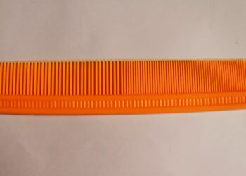 How lice twice arrived in the Americas