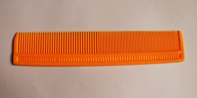 How lice twice arrived in the Americas