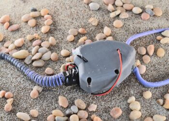 450M-year-old organism comes back to life in robot form