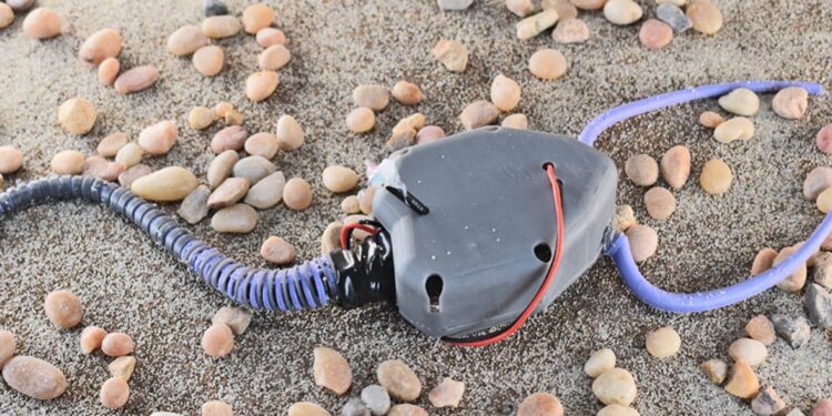 450M-year-old organism comes back to life in robot form