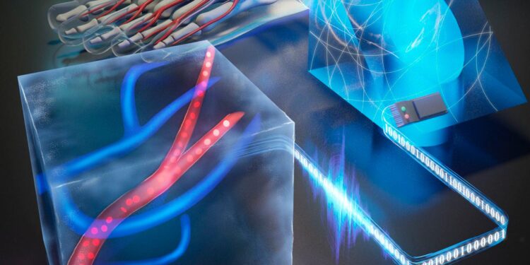 Caltech’s 3D Leap in Laser Photoacoustic Imaging