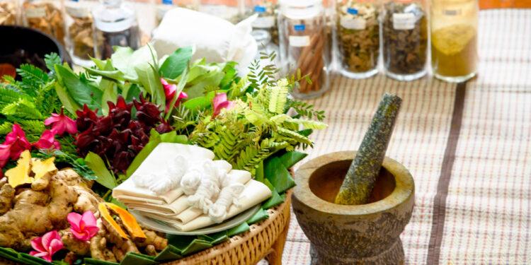 Natural Ayurvedic Treatments Offer Relief for Depression Symptoms in Fruit Flies