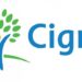 Cigna Ends Acquisition Talks with Humana, Announces $10B Share Repurchase Plan