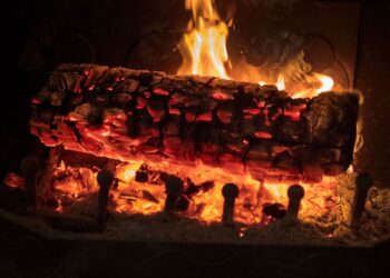 Settle down by the fire, and have yourself a merry little Christmas