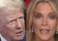 Trump Torches Megyn Kelly As ‘Biggest Loser’ After She Claims He’s Not As ‘Mentally Sharp’ As He Was