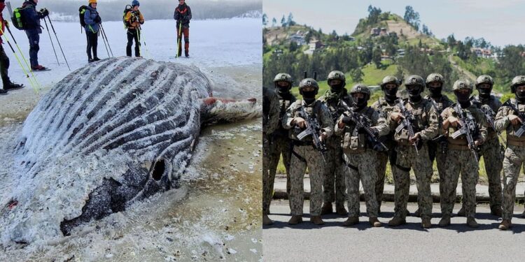 News in Pics | January 15, 2024 – Deccan Herald