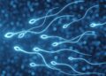 Semen Microbiome’s Pivotal Role in Male Fertility