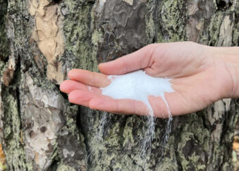 How Sodium-Ion Batteries Are Changing the Game