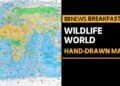 Artist cartographer creates 'wild world' map with no national borders and 1642 species – ABC News