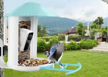 Best wildlife spotting deal: Get the Birdfy Feeder for under $150