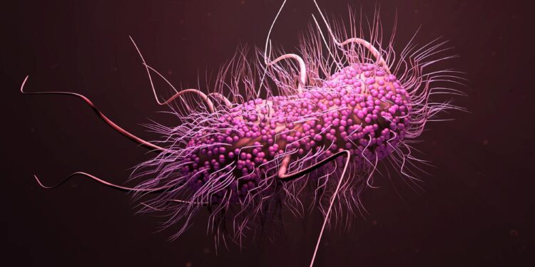 Common Stomach Bacteria Found in Two-Thirds of the World Population Could Increase Your Risk of Alzheimer’s