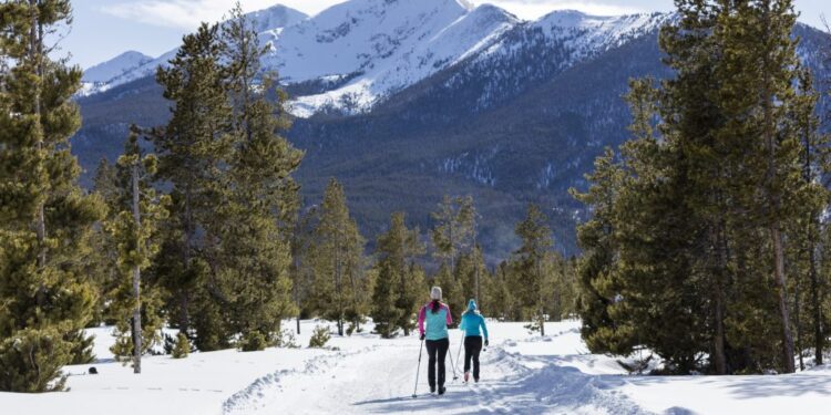 Frisco rolls out a new Waste Reduction Business Grant to support its new plastic-ban ordinances