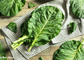 The Amazing Benefits of Collard Greens