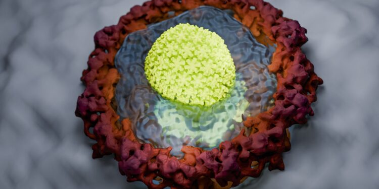 New Research Reveals How HIV Outsmarts Cellular Security