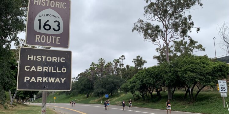 Business, civic groups pitch “open streets” event on 163 freeway in Balboa Park