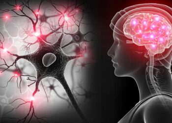 New Alzheimer’s Disease Treatment Target Discovered