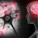 New Alzheimer’s Disease Treatment Target Discovered